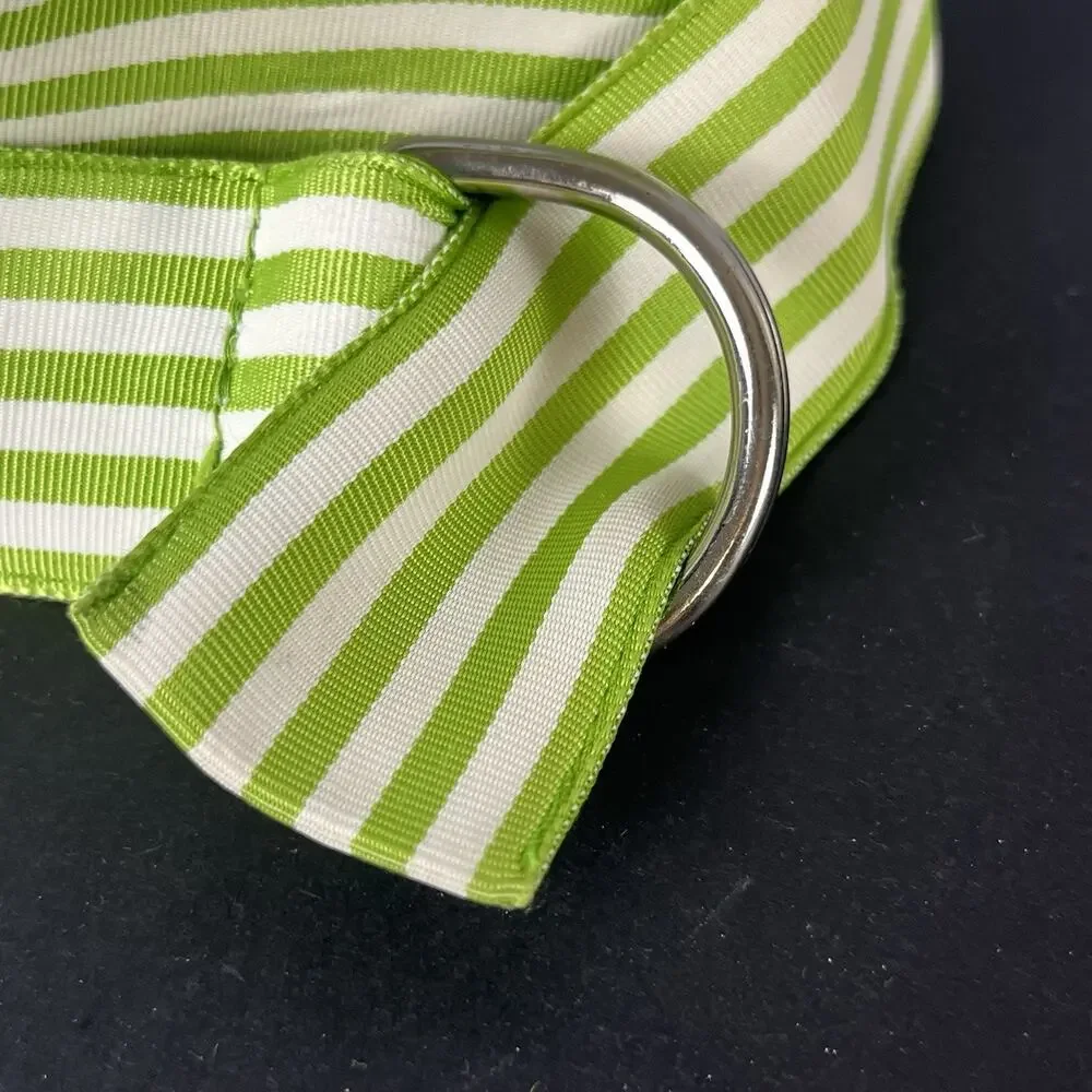 Vintage Lauren Ralph Lauren Ribbon D Ring Belt 38”Length USA Y2K Green Striped